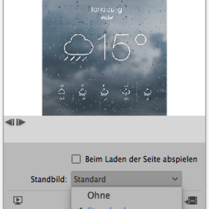 H2_Wiki_Gif_PDF_Einstellung_1557915996